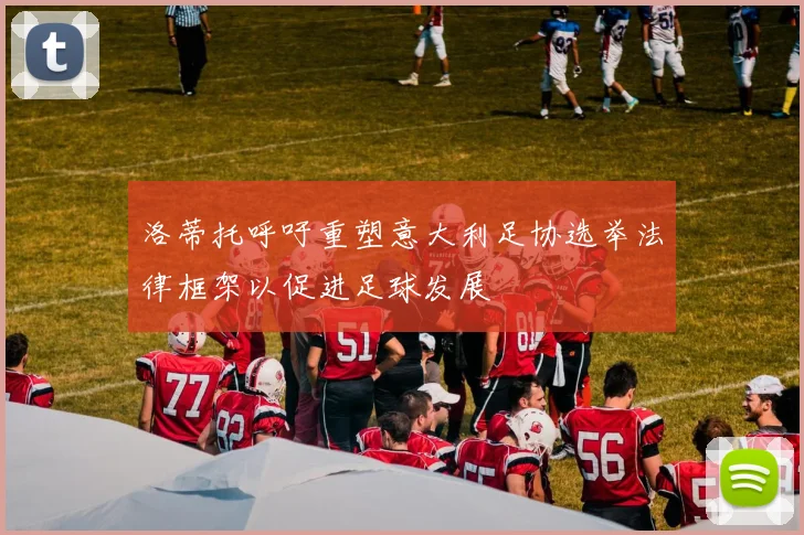 洛蒂托呼吁重塑意大利足协选举法律框架以促进足球发展
